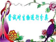 尝试对生物进行分类