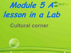 高中英语 MODULE5 CULTURAL CORNER课件 外研版必修1