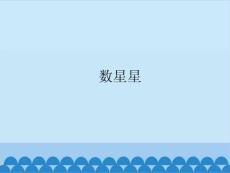 部编苏教版小学二年级上册科学《6.数星星》共13张PPT课件