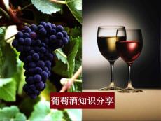 葡萄酒文化(3-4课时)