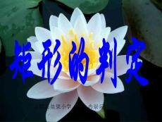 19.2.1特殊的平行四边形1矩形的判定