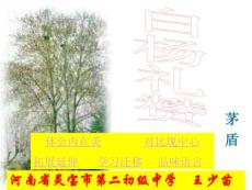 语文版九年级上册《白杨礼赞》ppt课件之一