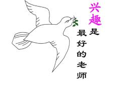 2.3 有理数的乘法（二）