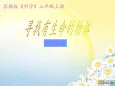 苏教版小学科学三年级上册寻找有生命的物体