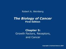 癌生物学第五章ppt----英文原版图片