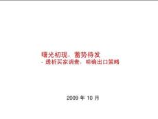 外贸买家调查报告2009（17P）