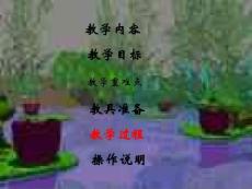 三角形的面积（说课稿）