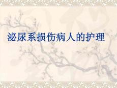 泌尿系损伤病人的护理