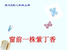 二年级语文上册 窗前一株紫丁香课件 语文S版