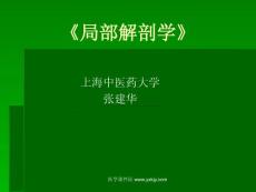 哈尔滨医科大基础医学局部解剖学PPT课件 概述