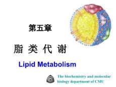 中国医科大基础医学生物化学PPT课件 第五章 脂类代谢