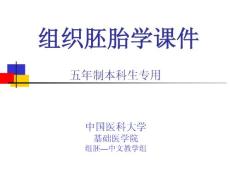 中国医科大基础医学组织学与胚胎学PPT课件 第11章 皮肤