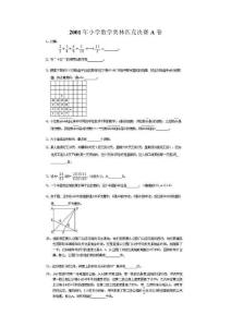 2001年小学数学奥林匹克决赛A卷