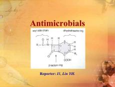 抗菌药（英文PPT）Antimicrobials