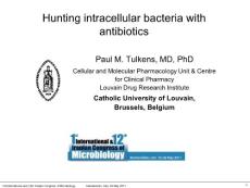 抗生素作用的病理生理学Hunting intracellular bacteria with antibiotics