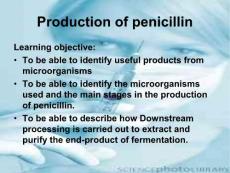 青霉素简介（英文PPT）Production of penicillin