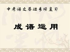 4047成语运用