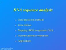Analysis of DNA sequences