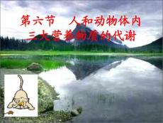 高二生物三大营养物质代谢一轮复习课件 【精编】