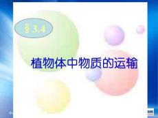 浙教版科学八下《植物体中物质的运输》ppt课件1