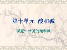 化学课件九年级化学常见的酸和碱指示剂