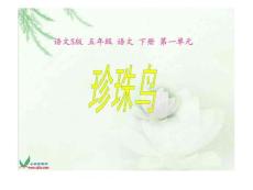 珍珠鸟课件(语文S版语文五年级下册)