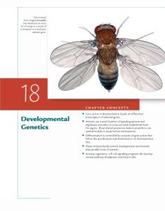 Concepts of Genetics (10th Edition)_Chapter 18