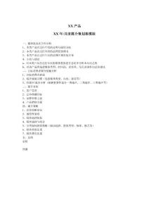 媒介策划案模版