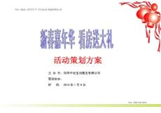 房地产活动策划方案