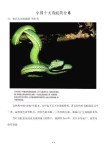 中国十大毒蛇简介6