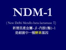【医学精品课件之抗生素】NDM-1 (52p)