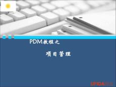 PDM之项目管理