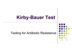 抗生素英文课件精品——Kirby-Bauer Test
