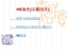 HE染色(石蜡切片).ppt