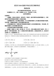 2024年湖北武汉高三二模高考物理模拟试卷试题（含答案）