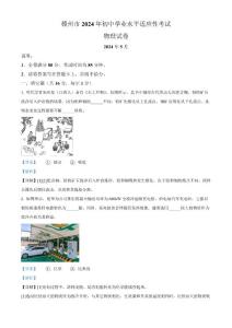 2024年江西省赣州市中考模拟预测物理试题（解析版）