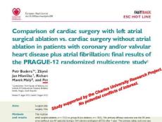 PRAGUE 12 Presentation Slides--2012ESC心血管专家课件