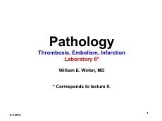 Pathology - Thrombosis Embolism Infarction.ppt -