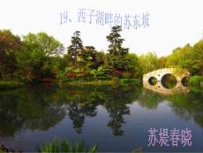 西子湖畔的苏东坡.ppt