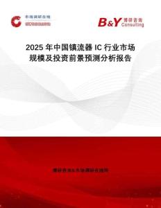 2025年中国镇流器IC行业市场规模及投资前景预测分析报告