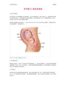 【怀孕指南】怀孕第31周发育指南