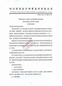 2.财评报告-丹棱县城市污水处理厂处理设施提升改造项目