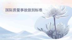 国际质量事故级别标准