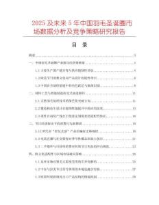 2025及未来5年中国羽毛圣诞圈市场数据分析及竞争策略研究报告