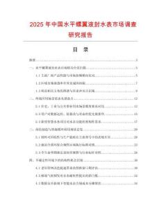2025年中国水平螺翼液封水表市场调查研究报告