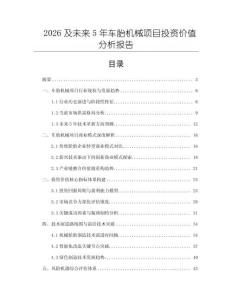 2026及未来5年车胎机械项目投资价值分析报告