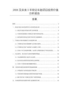 2026及未来5年软边车胎项目投资价值分析报告