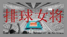 金鹰卡通体育竞技综艺《排球女将》2026年招商方案