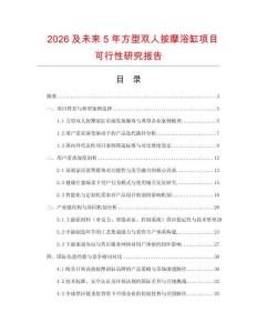 2026及未来5年方型双人按摩浴缸项目可行性研究报告