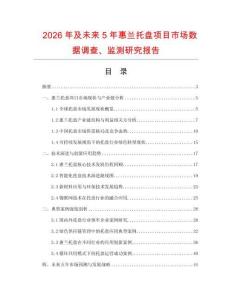 2026年及未来5年惠兰托盘项目市场数据调查、监测研究报告
